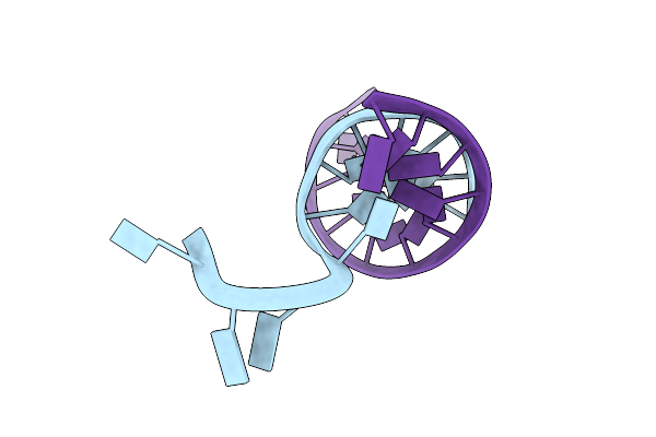 3L1Q image