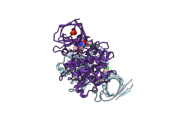 3L1S image