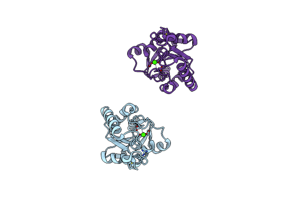 3L1U image