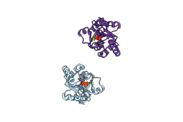 3L1V image