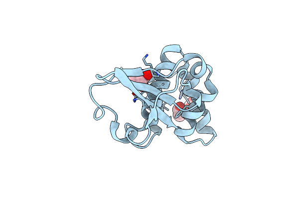 3L2A image
