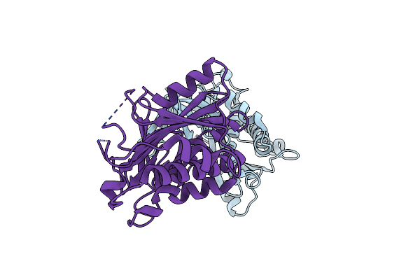 3L2Z image
