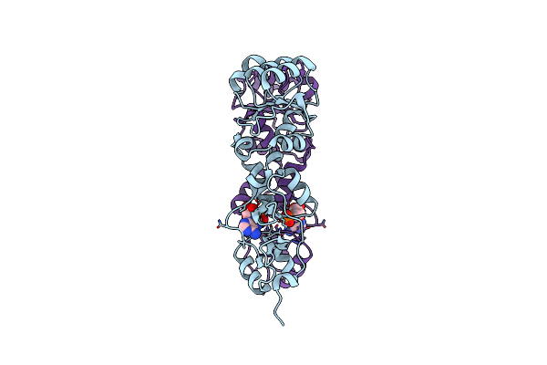 3L31 image