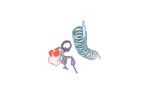 3L36 image