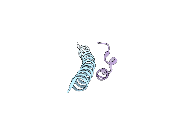 3L37 image