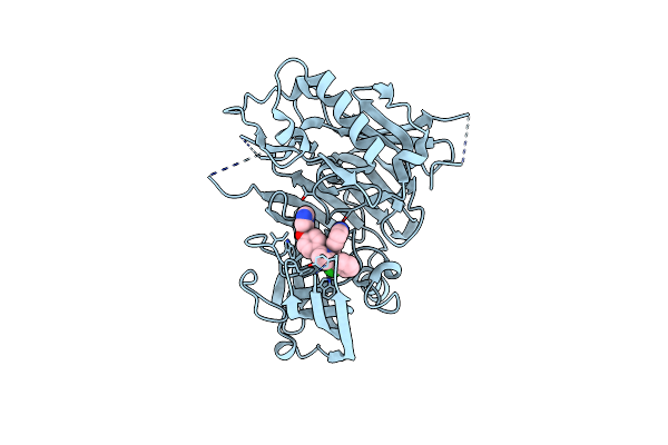 3L38 image