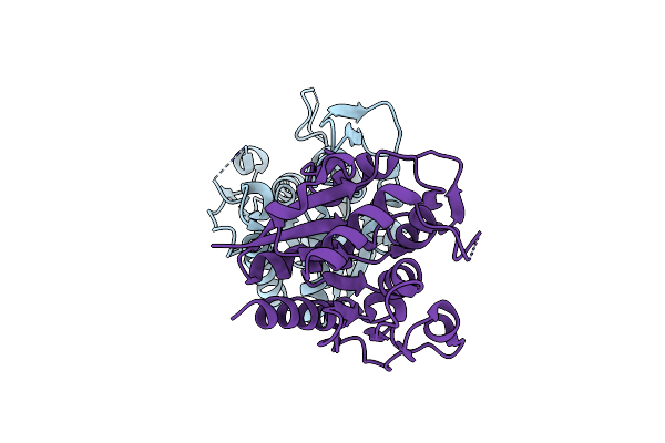 3L3B image
