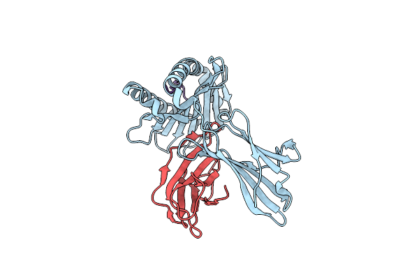 3L3H image