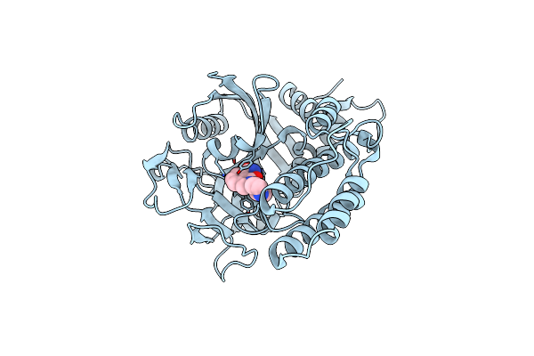 3L3L image
