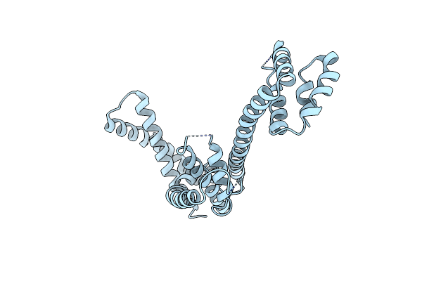 3L3P image