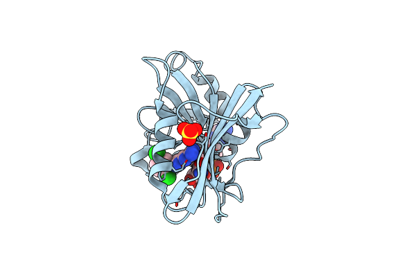 3L3R image