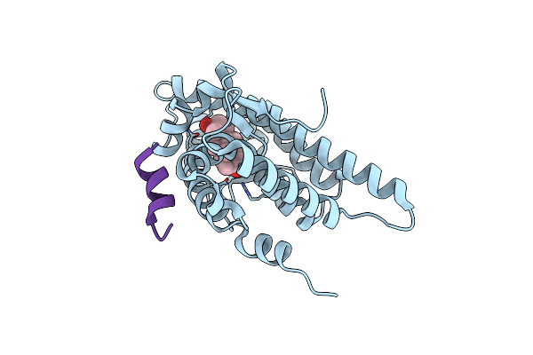 3L3X image