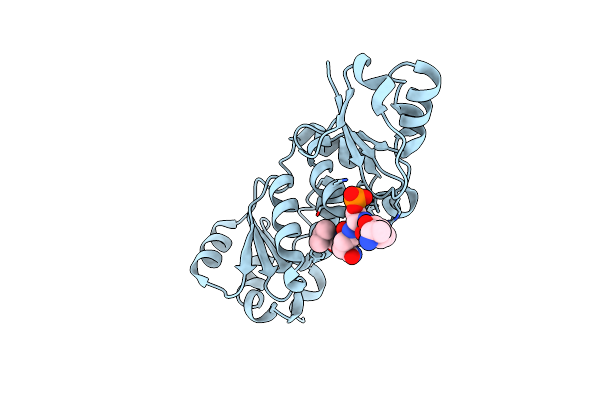 3L41 image