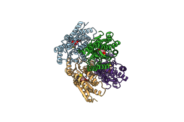 3L49 image
