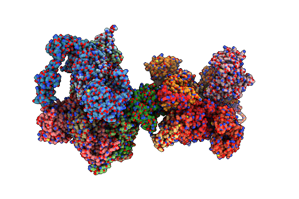 3L4G image