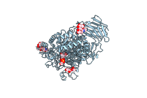 3L4V image