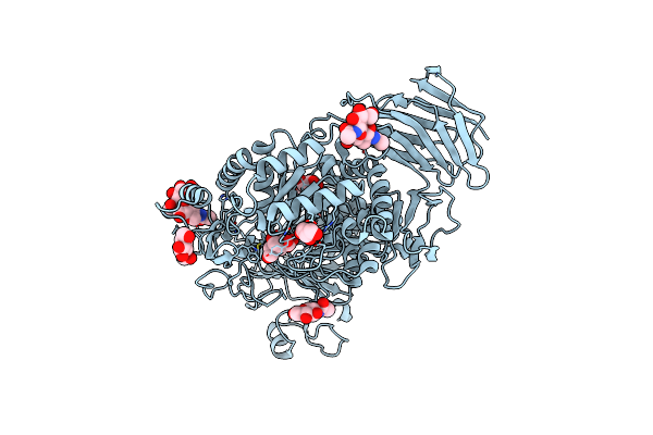 3L4W image
