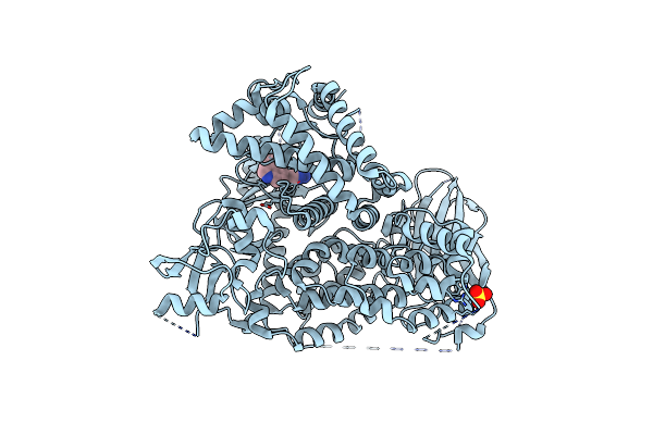 3L54 image