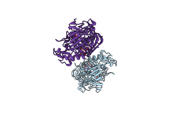 3L5D image