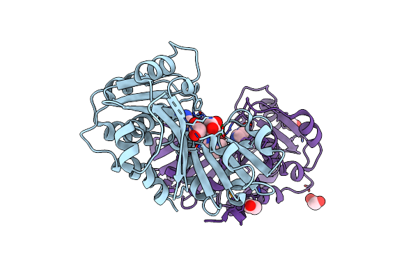 3L5O image