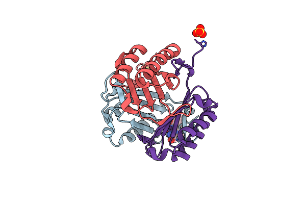 3L5S image