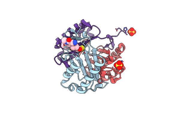 3L5T image