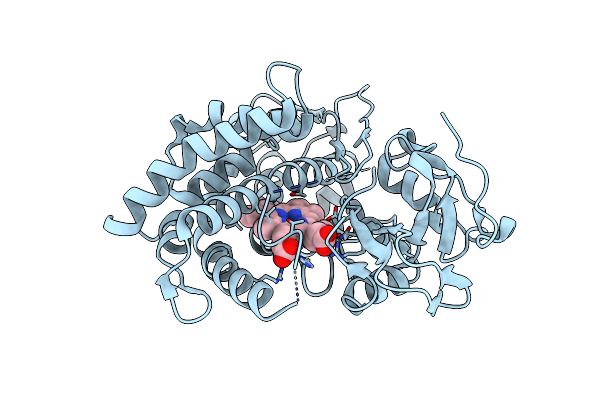 3L61 image