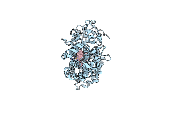 3L63 image