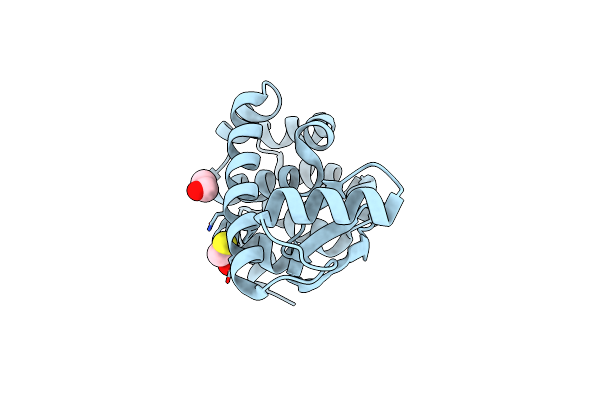 3L64 image