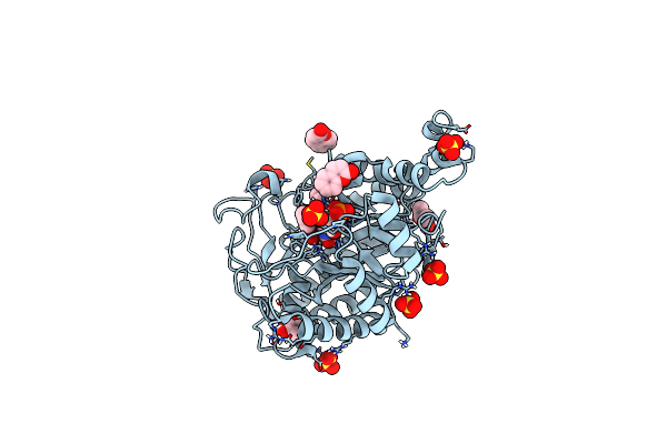 3L66 image