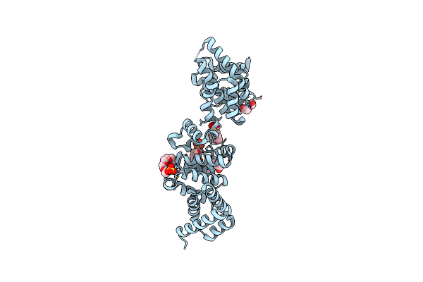 3L6A image
