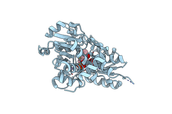3L6B image
