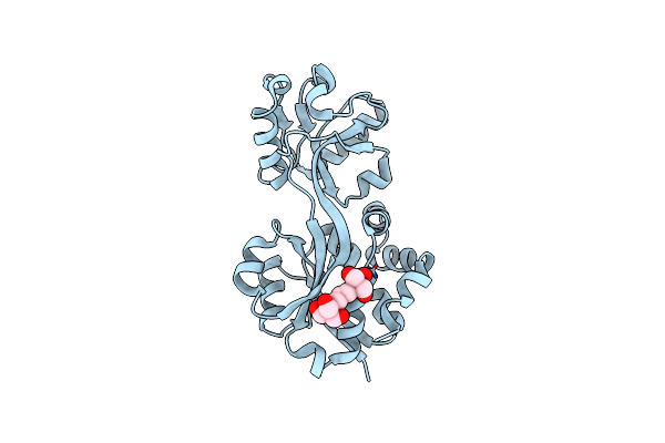 3L6G image