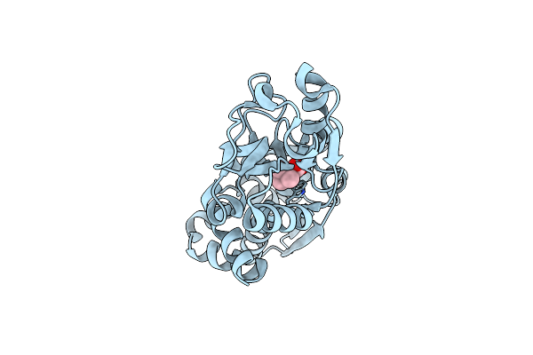 3L6H image