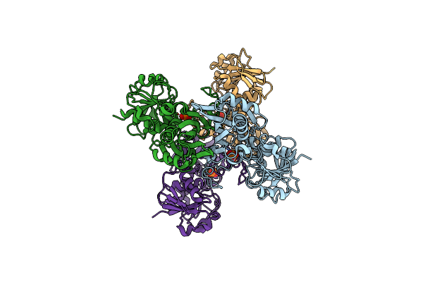3L6O image