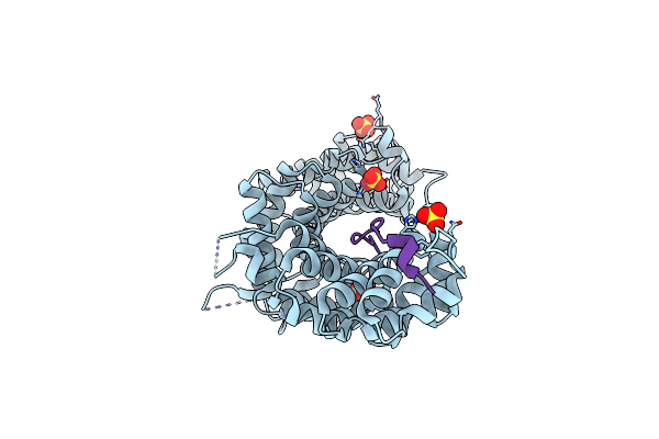 3L6X image