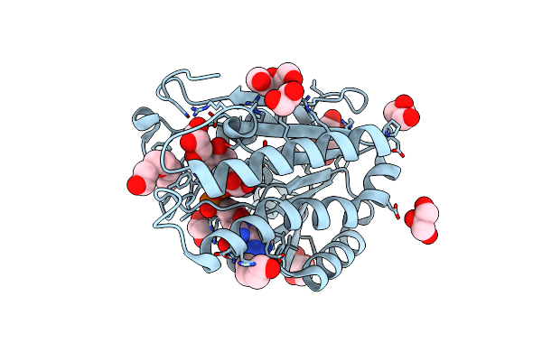 3L77 image