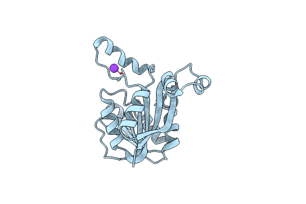 3L8D image