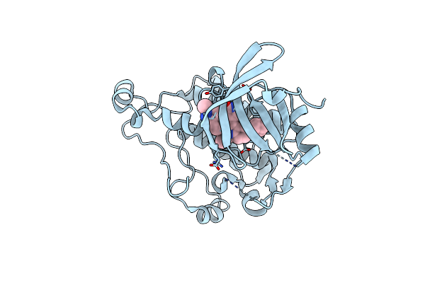 3L8P image