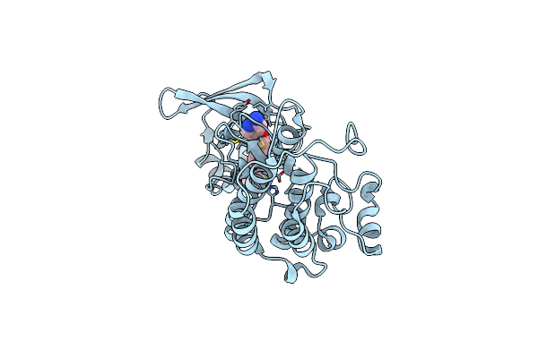 3L8V image
