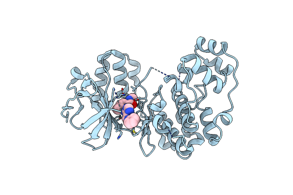 3L8X image