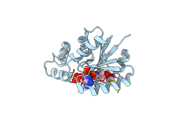 3L92 image