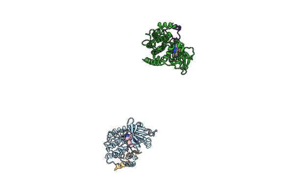3L9M image