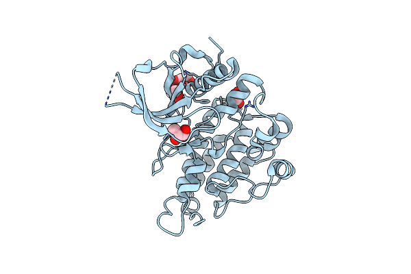 3L9P image