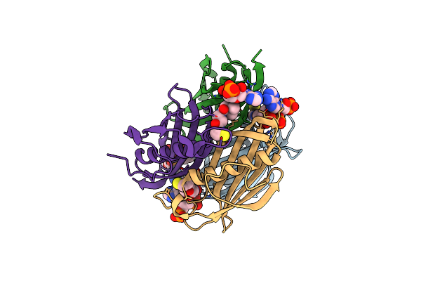 3LBE image