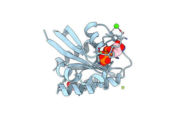 3LBH image