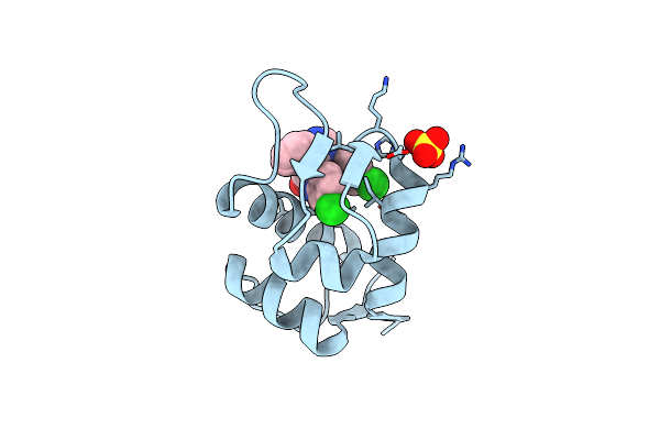 3LBK image