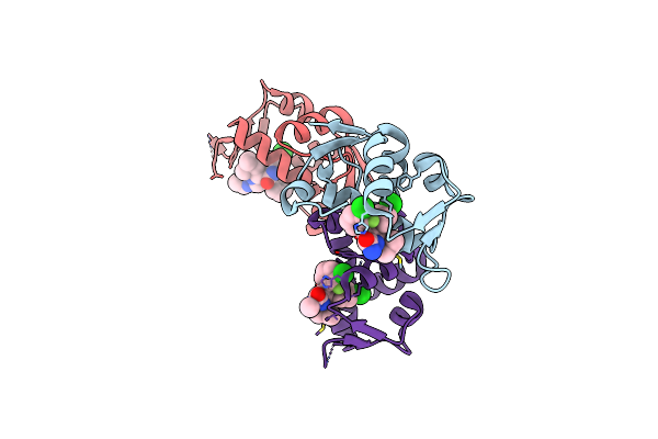 3LBL image