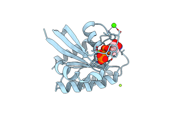 3LBN image