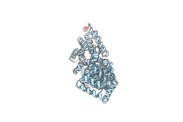 3LCA image